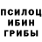 Псилоцибиновые грибы Psilocybine cubensis Maya Button