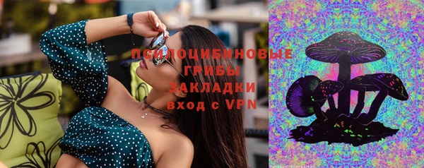 ешки Алексин