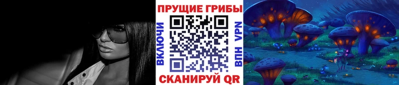 купить закладку  Алупка  Псилоцибиновые грибы Cubensis 